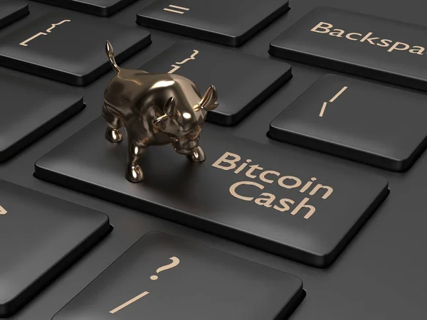 Rendering Della Tastiera Del Computer Con Pulsante Bitcoin Cash Toro — Foto Stock