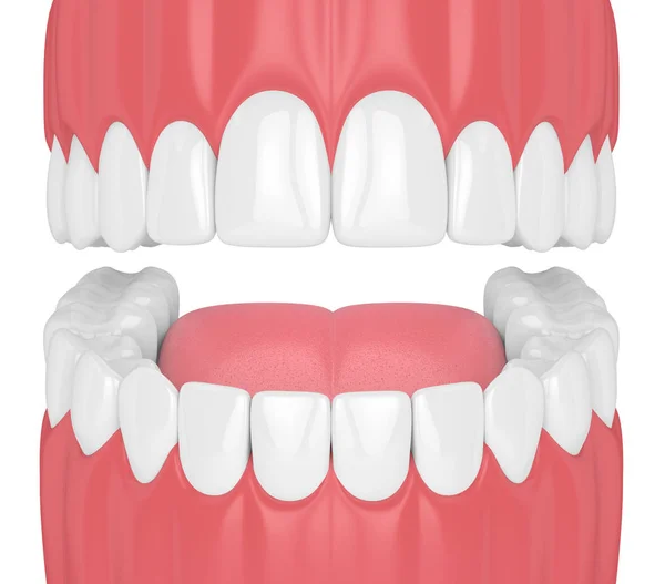 Renderização Mandíbula Com Dentes Conceito Saúde Bucal — Fotografia de Stock