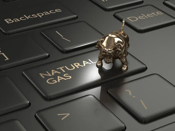 3d rendu de clavier avec bouton gaz naturel et taureau — Photo