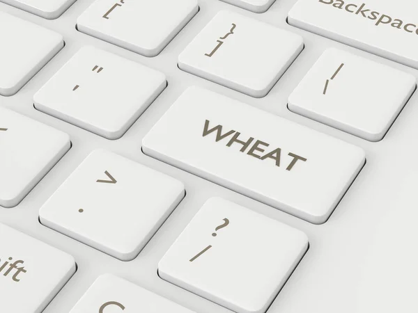 3d render of keyboard with wheat key