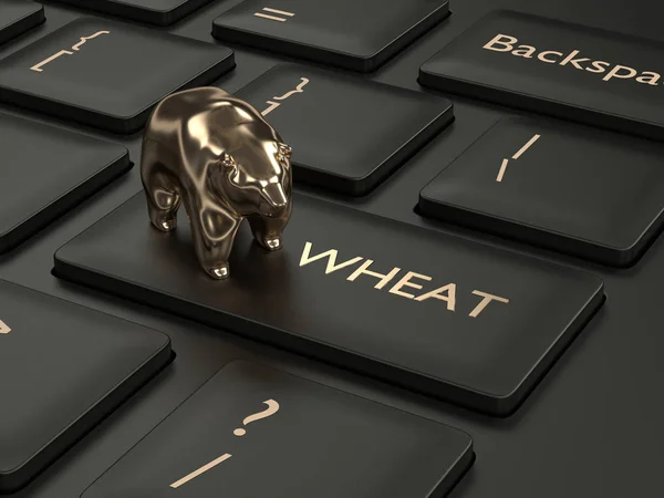 3D рендеринг клавиатуры с пшеничной клавишей и медведем — стоковое фото