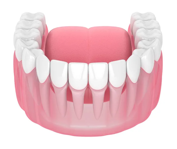 3d renderização da mandíbula inferior com dentes — Fotografia de Stock