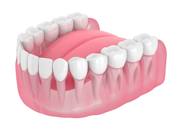 치아가있는 아래턱의 3D 렌더링 — 스톡 사진