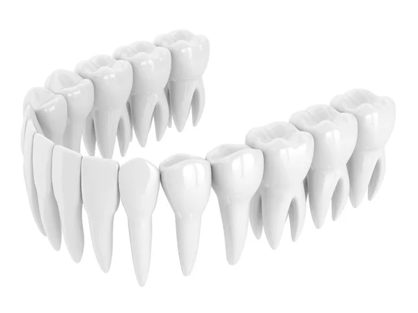 3d renderização de dentição sobre branco — Fotografia de Stock