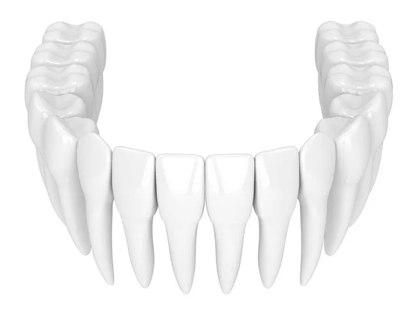 3d renderizado de dientes sobre blanco —  Fotos de Stock