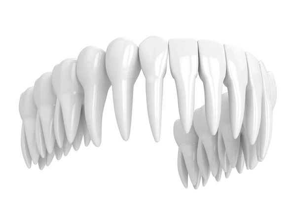 3d renderização de dentição sobre branco — Fotografia de Stock