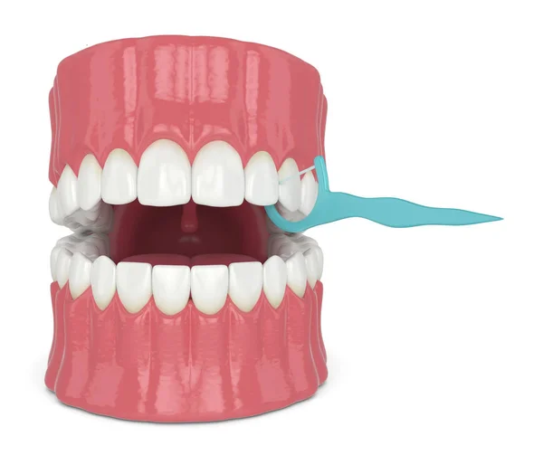 3d renderizado de mandíbula con palillo de hilo dental — Foto de Stock