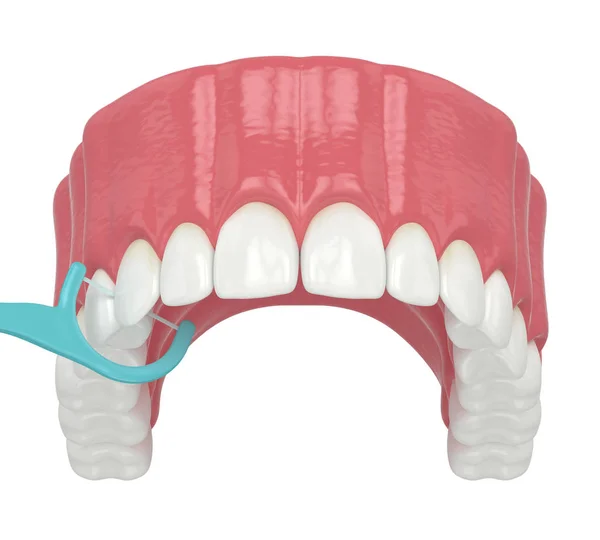 3d render of jaw with dental floss toothpick — Stock Photo, Image