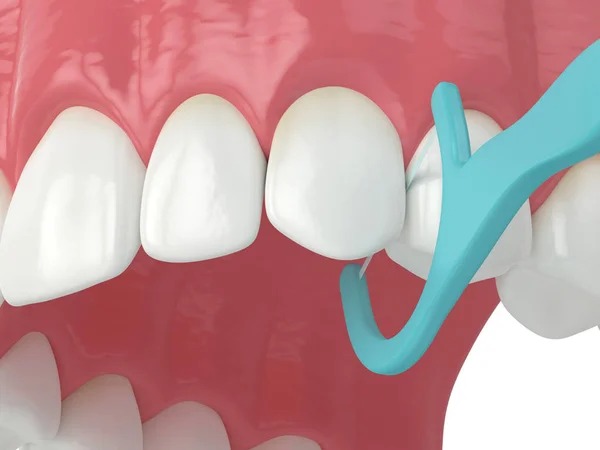 3d render of jaw with dental floss toothpick — Stock Photo, Image