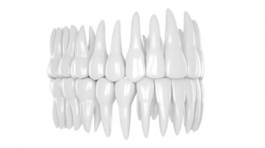 Beyaz arkaplan üzerinde insan dişi