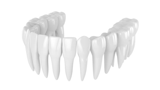 Dentition Humaine Sur Fond Blanc — Video