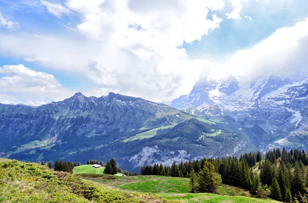 Schweizer Alpenlandschaft — Stockfoto