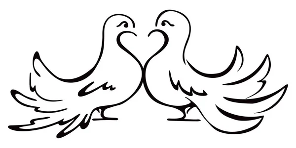 Beloved Couple Doves Illustration — Stock Vector