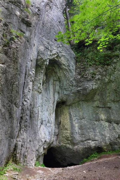 Dziura Barlang Bejárata Lengyel Tátra Hegyeiben — Stock Fotó