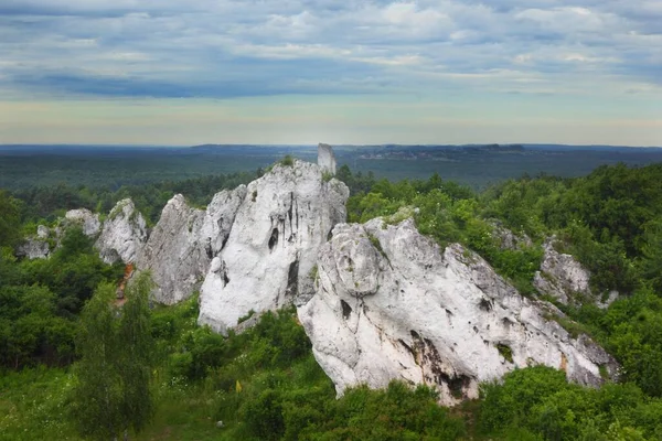 Rzedkowice Deki Ünlü Kaya Tırmanışı Jura Krakowsko Czestochowska Upland Polonya — Stok fotoğraf