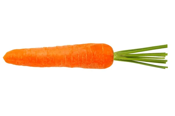 Свежая Красная Морковь Белом Фоне — стоковое фото