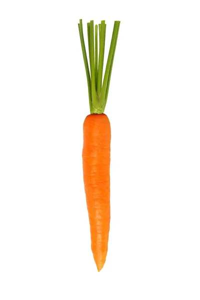 Fresh Red Carrot Isolated White Background — Stock Photo, Image