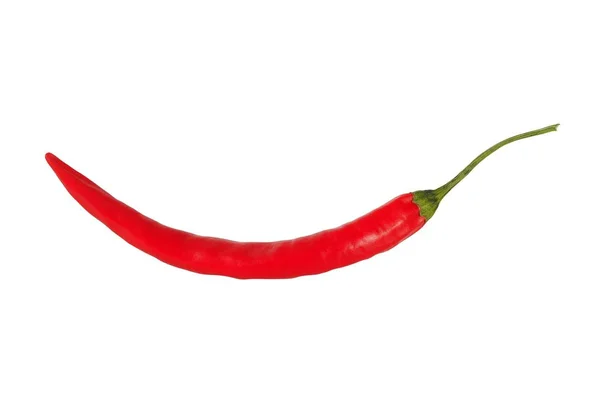 Pimiento Rojo Picante Aislado Sobre Fondo Blanco — Foto de Stock