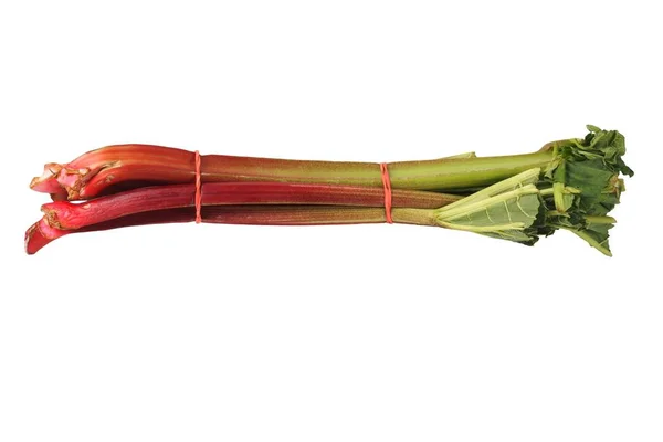 Rhubarb on white — Stock Photo, Image