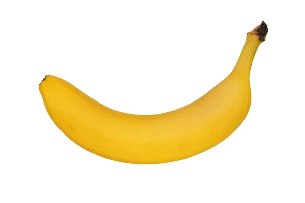 白を基調としたバナナ — ストック写真