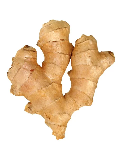 Ginger root on white — Stock Photo, Image