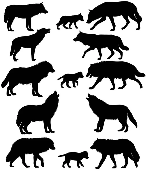 Farkasok Wolf Kölykök Sziluettek Gyűjteménye — Stock Vector