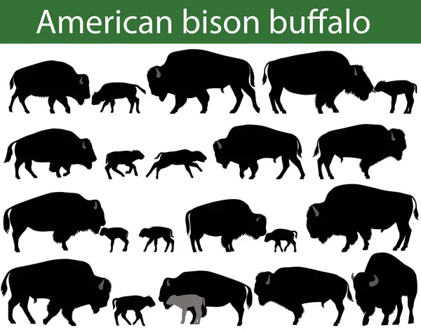 Collectie Van Silhouetten Amerikaanse Bizon Buffalo — Stockvector