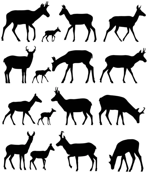 Collection Silhouettes Antilope Pronghorn — Image vectorielle