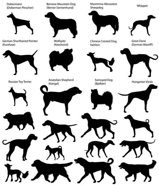 Hunde zeigen Silhouetten — Stockvektor