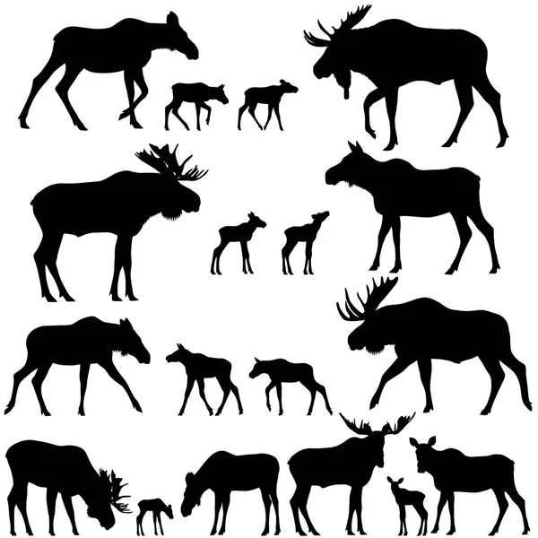Collection Silhouettes Mooses Also Named Elks Its Cubs — Stock Vector
