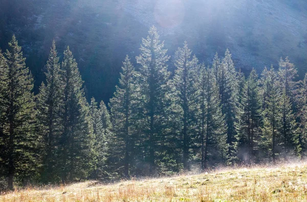 Westelijke Alpen Zijn Het Westelijke Deel Van Alpine Bergketen — Stockfoto