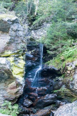 Batı Alpler alp aralığı Batı parçası olan.