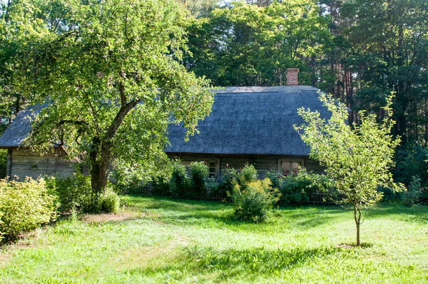 Musée Ethnographique Plein Air Lettonie Jour Été — Photo