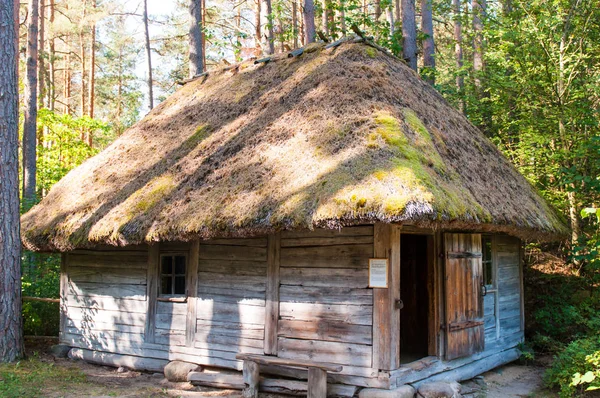 Uraltes Bauwerk Sommer Wald — Stockfoto