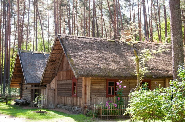 Nyáron Erdő Ősi Építése — Stock Fotó