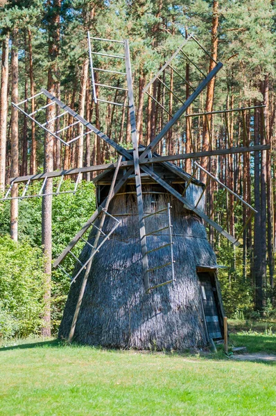 Uraltes Bauwerk Sommer Wald — Stockfoto