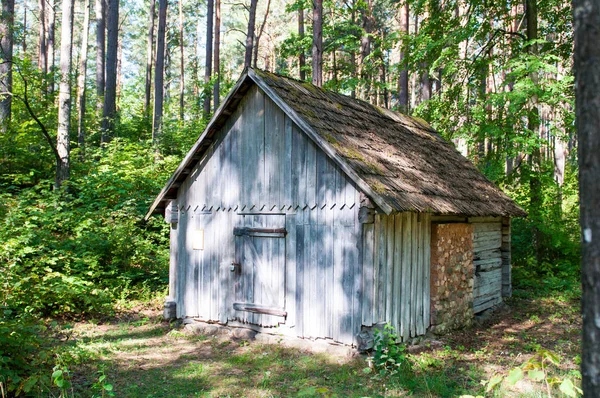 Ancient Construction Forest Summer — Stock Photo, Image