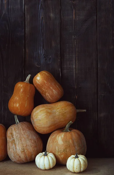 Stack Pumpkins Harvesting Rural Place — Stock Photo, Image