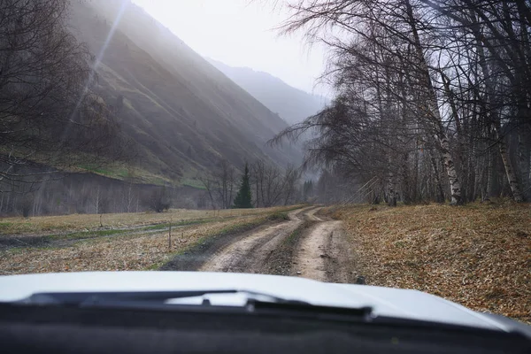 ヨーロッパの自然を通る道路の旅 視点のカーポイント — ストック写真