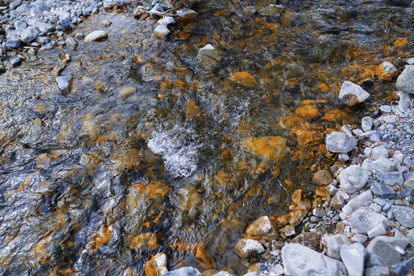 Koryto Rzeki Kamieni Skalnych Kent Anglia — Zdjęcie stockowe