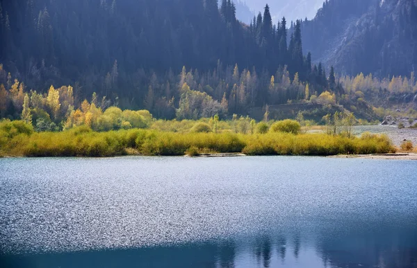 Lago Montagna Con Piante Alberi Negli Stati Uniti California — Foto Stock
