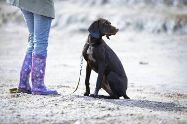 kadın köpeği eğitimi