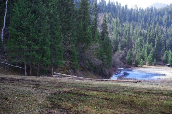 Lago Floresta Montanha Califórnia Eua — Fotografia de Stock