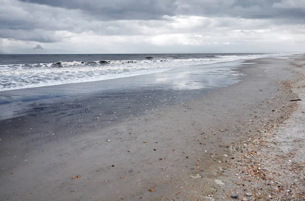 Csendes-óceán és homokos part ritka kagylókkal — Stock Fotó