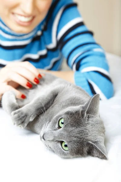 I love cat — Stock Photo, Image