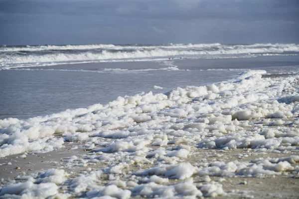 太平洋沿岸的泡沫海 — 图库照片
