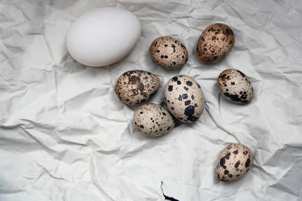 Chicken and quail eggs on a wrapping paper — Stock Photo, Image