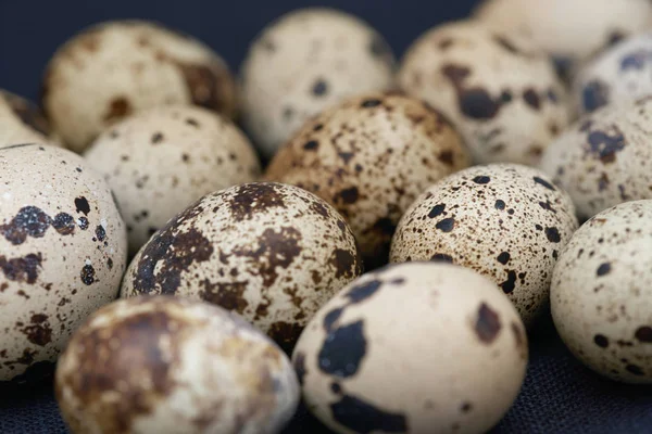 Close-up view on the Quail eggs — Stock Photo, Image