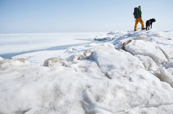 Jovem Adulto Homem Livre Com Seu Cão Explorando Paisagem Inverno — Fotografia de Stock