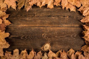 Düşen Kuru Yapraklar Tahta Plank Arkaplanında